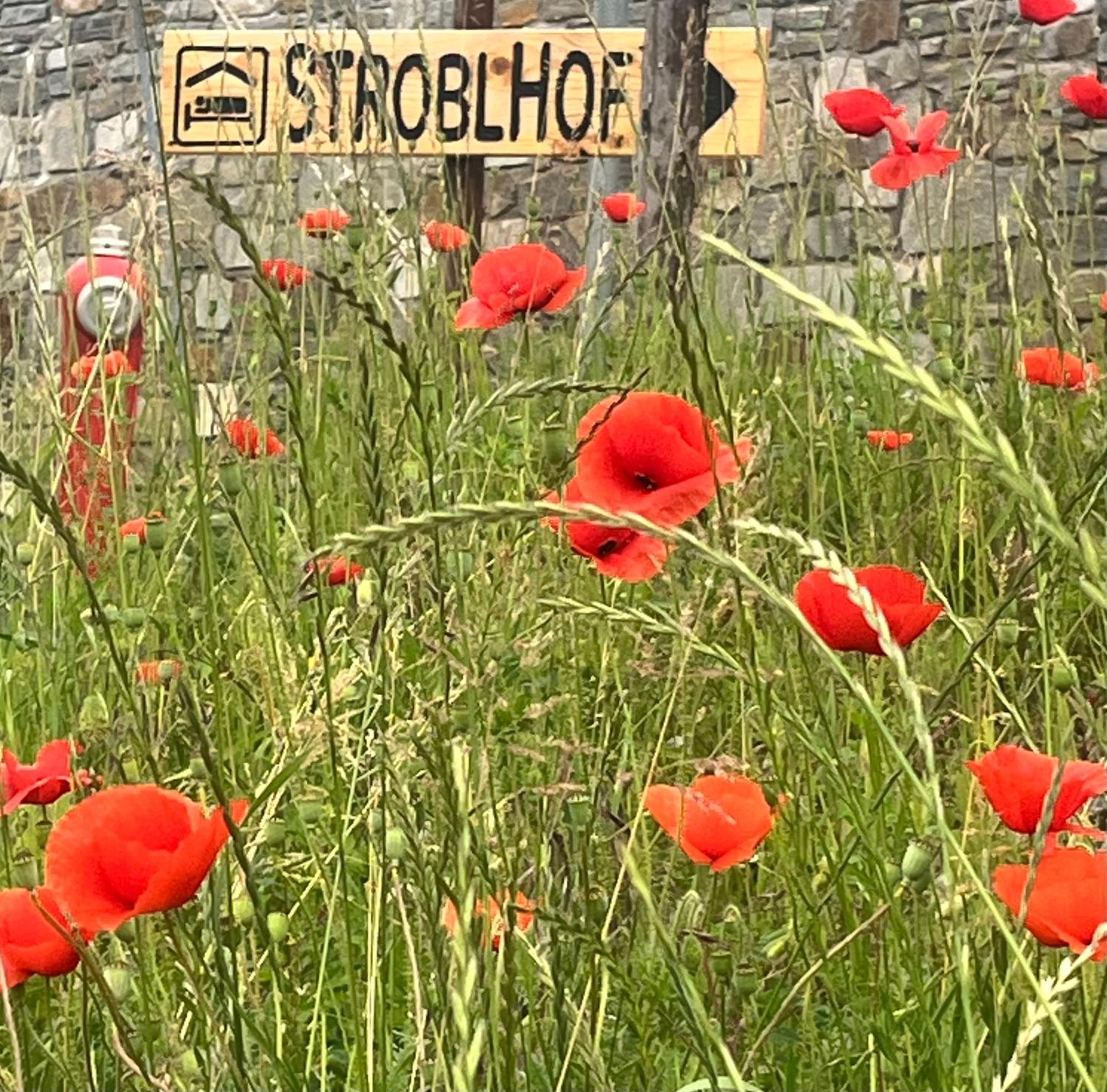Апартаменты Stroblhof Випитено Экстерьер фото